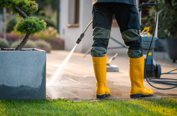 Best Roof Power Washing Services  in Frontenac, MO